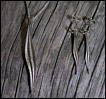Silver Leaf